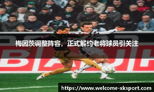 梅因茨调整阵容，正式解约老将球员引关注